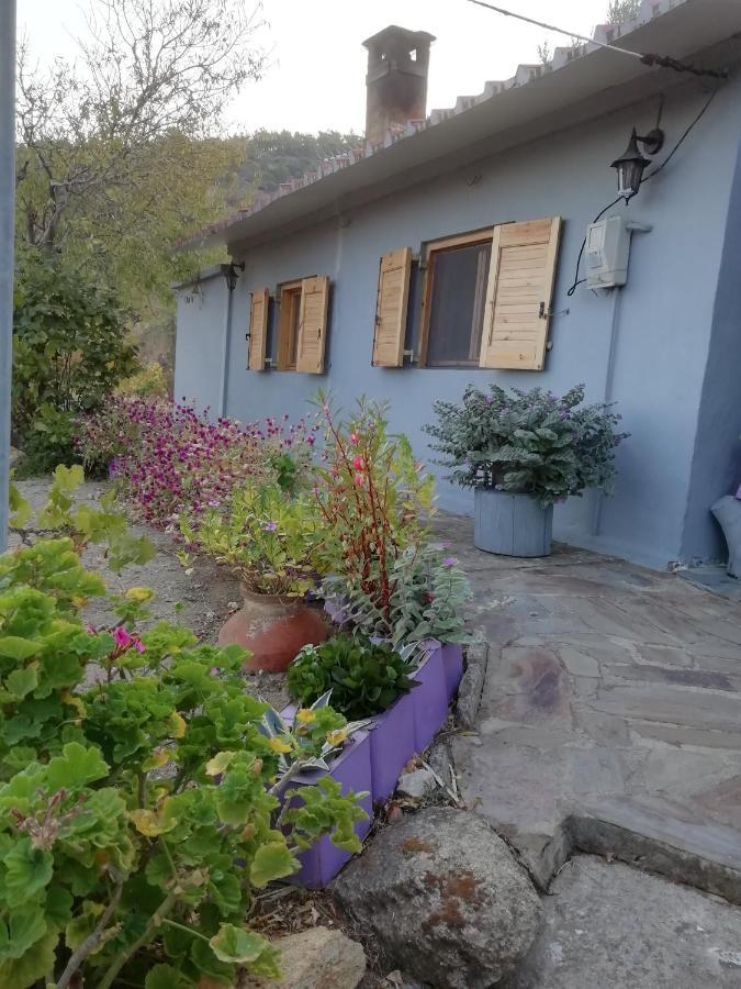 Myrovolos Villa Armenistis  Ngoại thất bức ảnh